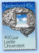 Gehirnforschung