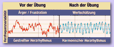 Herzintelligenz