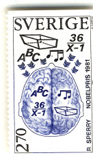 Hemisphärenteilung des Gehirns