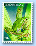 Frosch