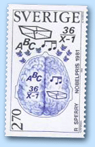 Gehirnhemisphären