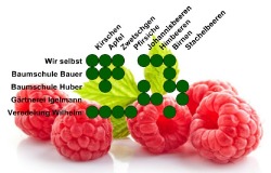 Matrixdiagramm Hintergrundbild