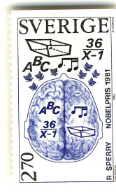 Nobelpreis Roger Sperry, Aufgabenteilung der Gehirnhälften