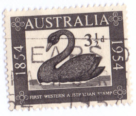 Bilderraster: Ein Schwan für die 2