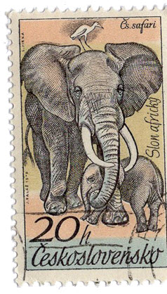 Elefant mit Baby