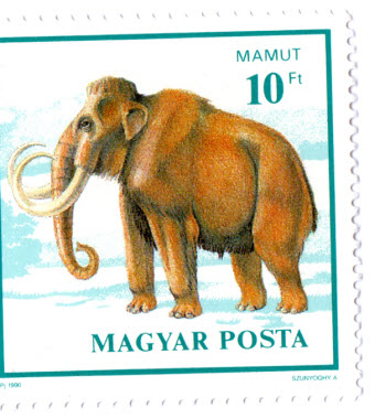 Mammut