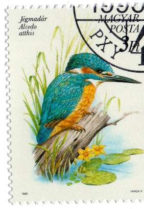 Marktnischen entstehen durch Merkmalskombinationen