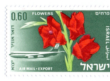 Blumen Import